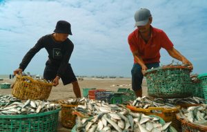 Người chơi đang ngắm đàn cá trong game bắn cá với góc bắn rõ ràng