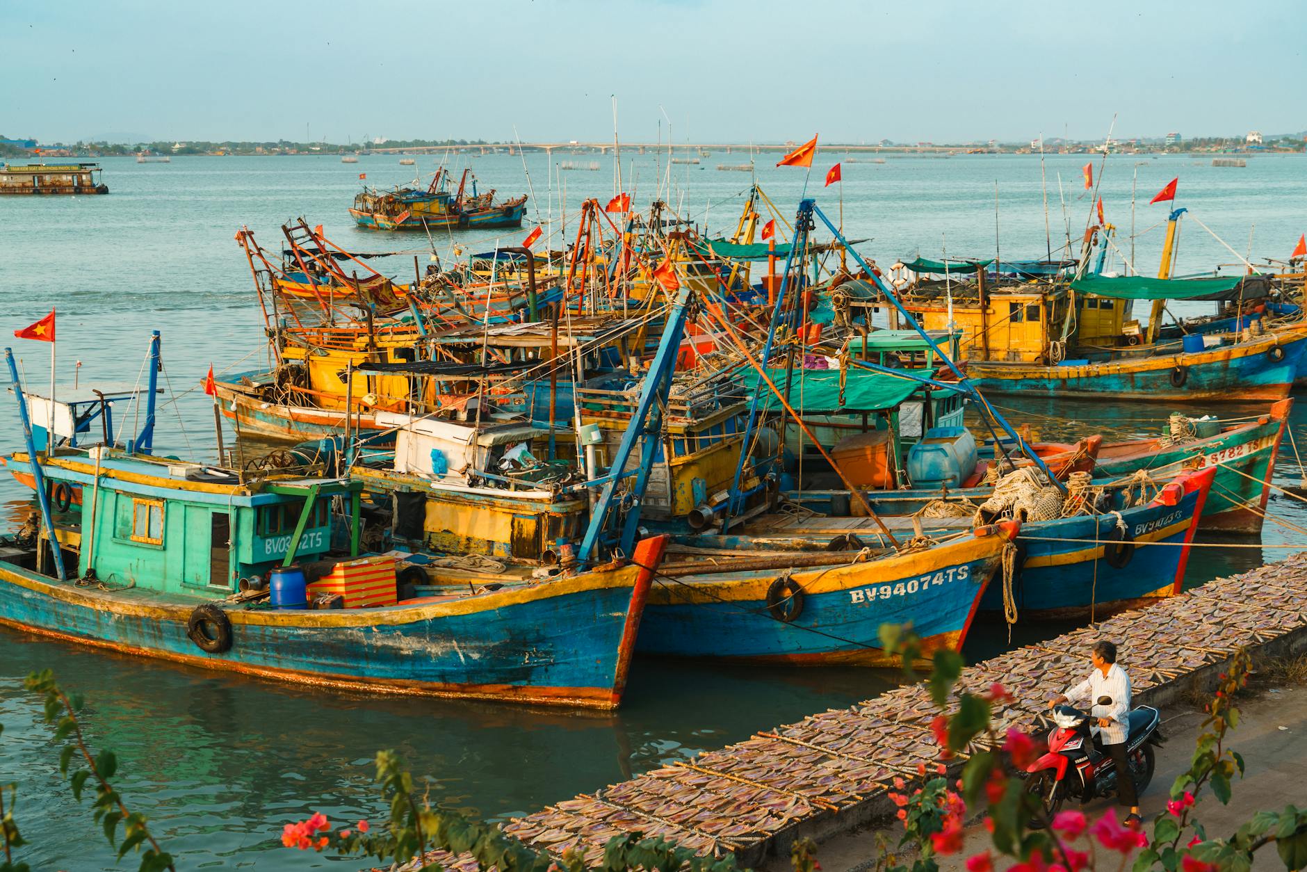 Cảnh đàn cá bơi theo đội hình trong game bắn cá