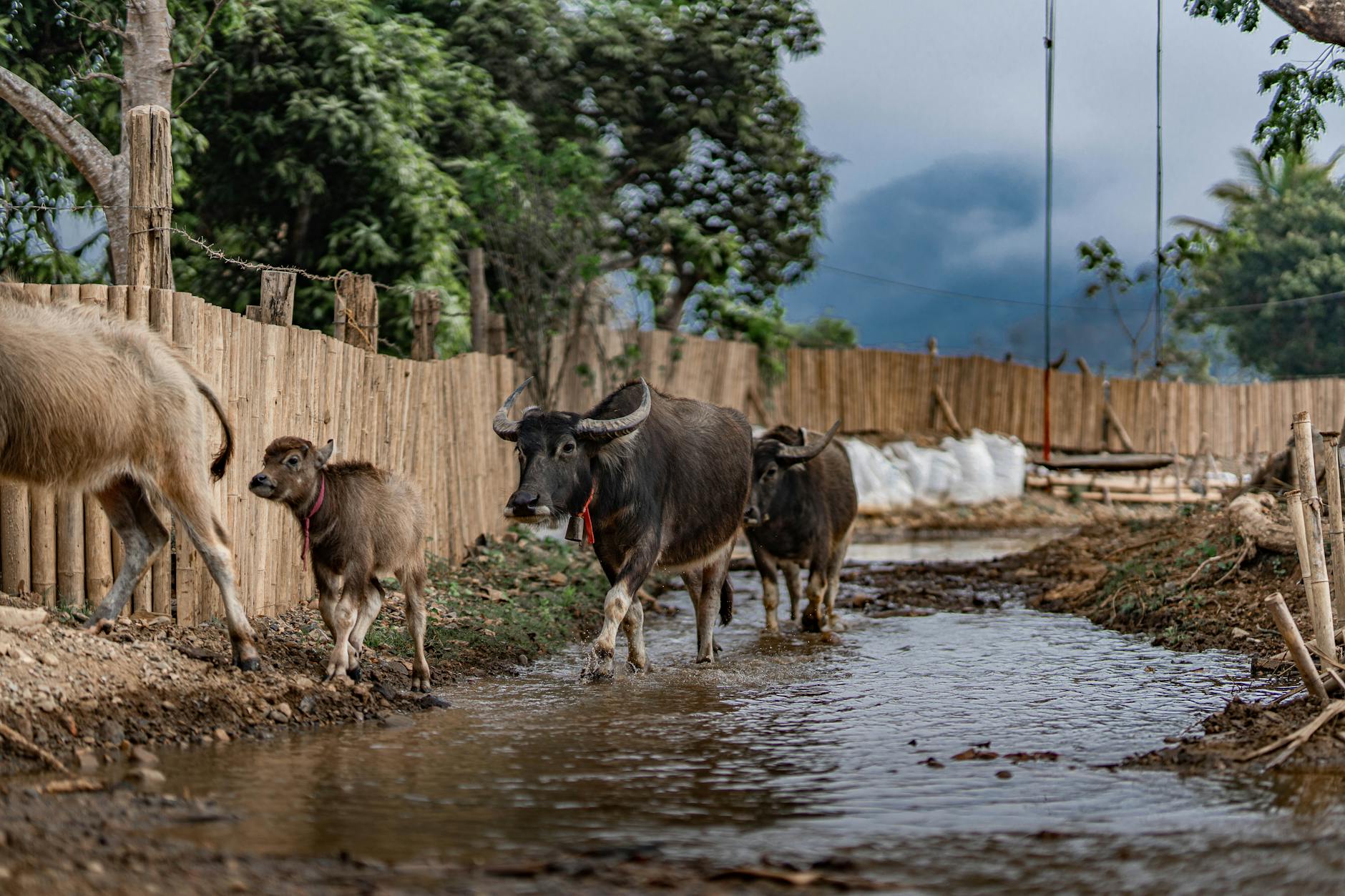 Hình minh họa thao tác giao dịch trực tuyến an toàn và rõ ràng