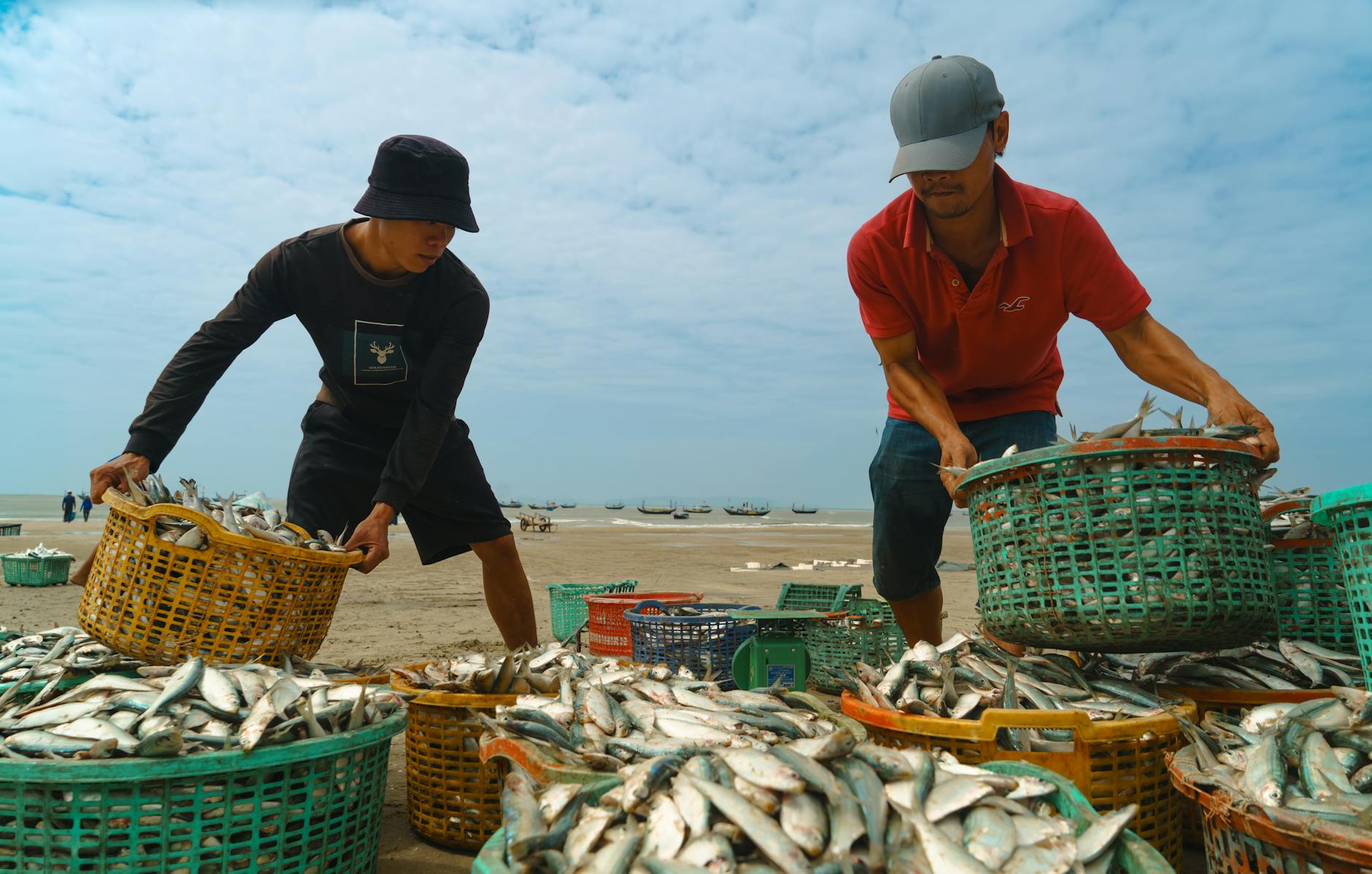 Đàn cá nhỏ và cá vừa di chuyển theo cụm trong game bắn cá