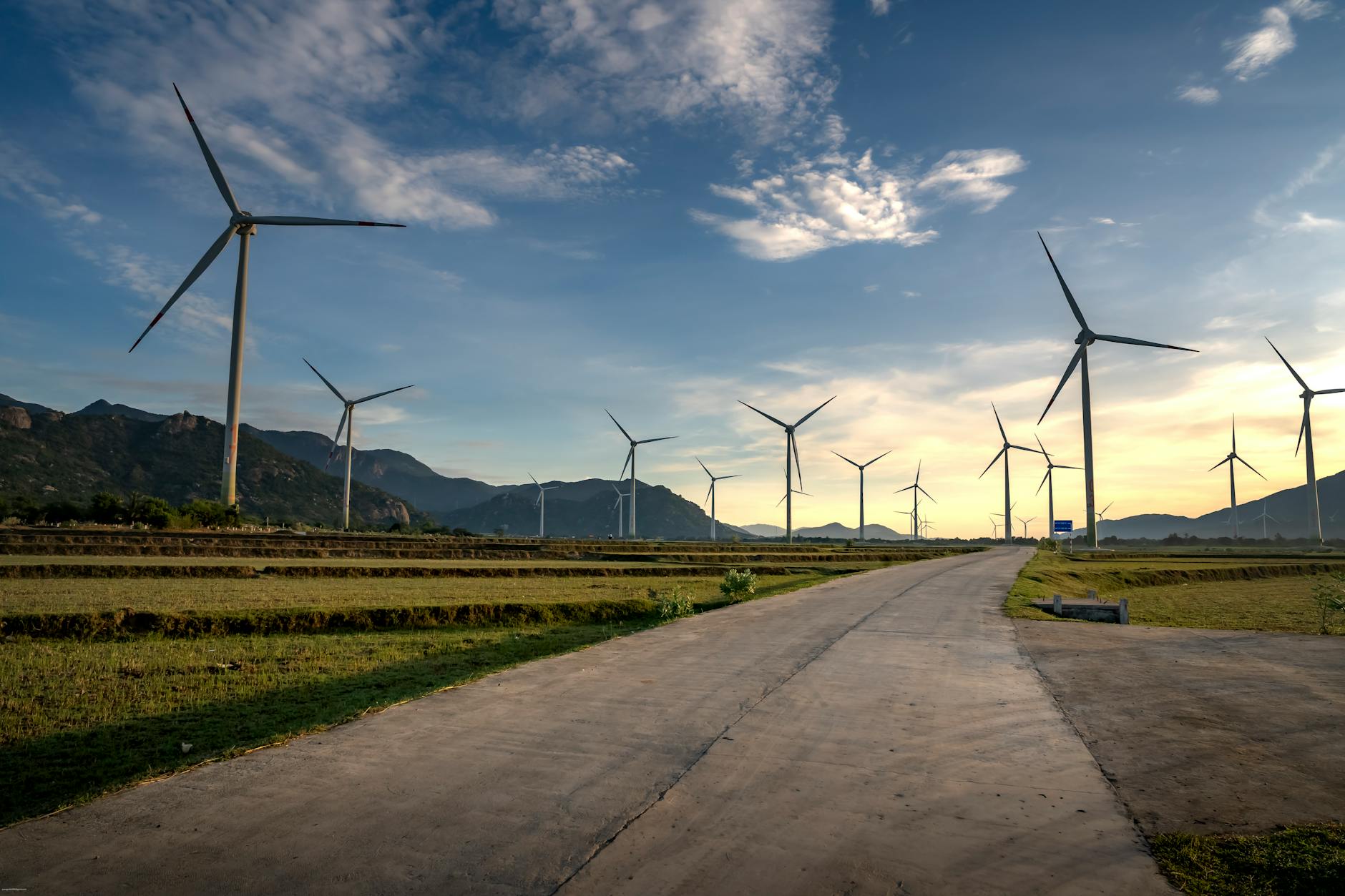 Người đang quan sát dữ liệu và phân tích bảng số trên điện thoại